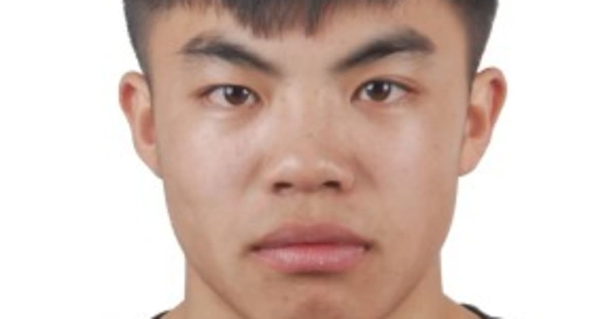 Wenlong YANG