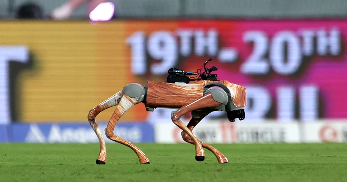 IPL Robot Dog All You Need To Know