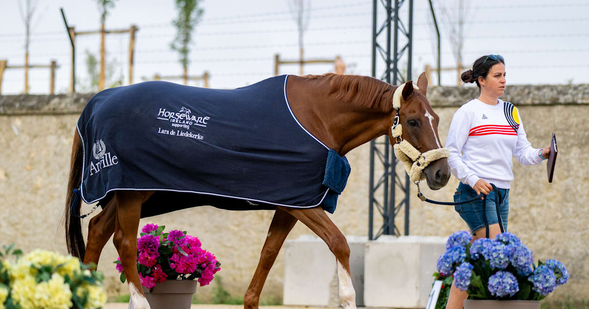 The unsung hero of equestrian sports: Bettina Cardinael’s journey to 2024 FEI groom of the year