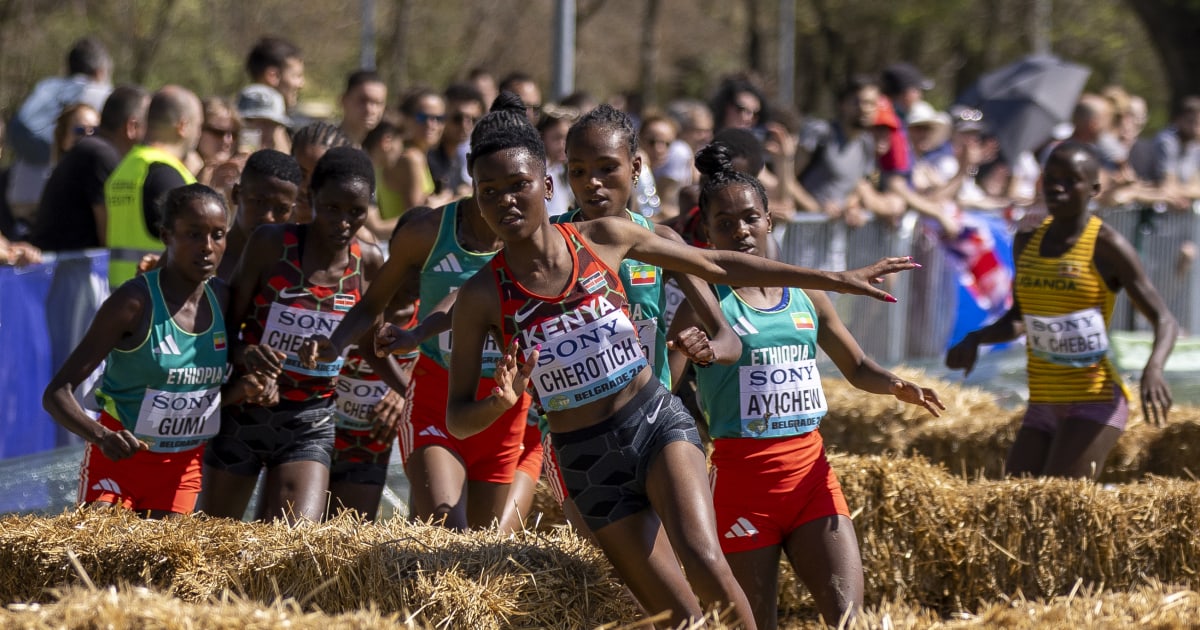 2026 WA Athletics World Cross Country Championships - Tallahassee ...