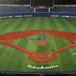 SMBC日本シリーズ2024」公式グッズ発売について | NPB.jp 日本